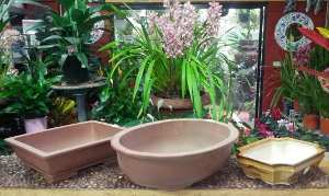 Bonsai Pots 2
